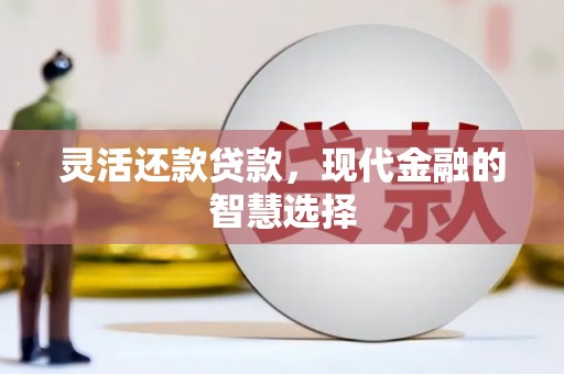 浔阳灵活还款贷款，现代金融的智慧选择