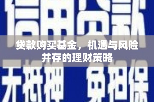 浔阳贷款购买基金，机遇与风险并存的理财策略