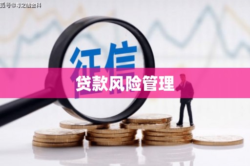 浔阳贷款风险管理