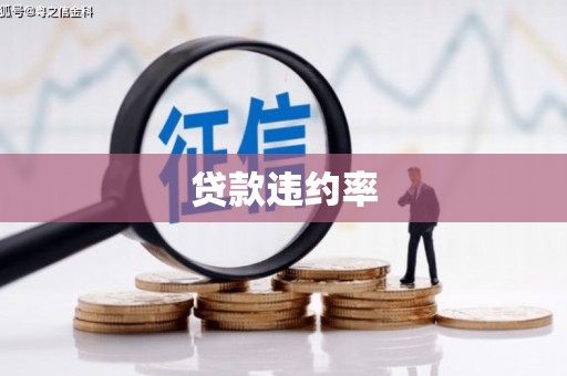 浔阳贷款违约率