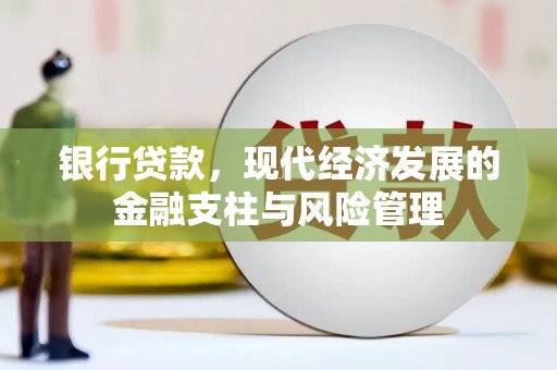浔阳银行贷款，现代经济发展的金融支柱与风险管理