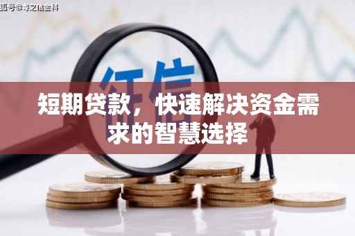 浔阳短期贷款，快速解决资金需求的智慧选择