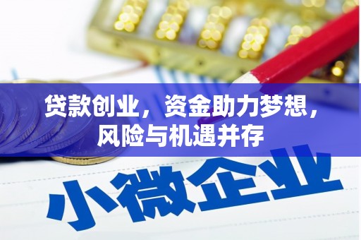 浔阳贷款创业，资金助力梦想，风险与机遇并存
