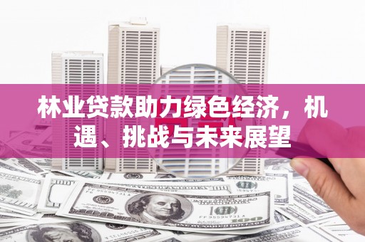 浔阳林业贷款助力绿色经济，机遇、挑战与未来展望