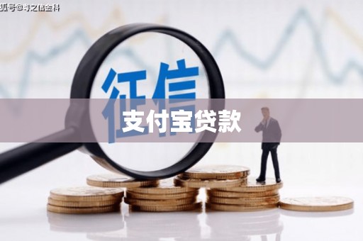 浔阳支付宝贷款