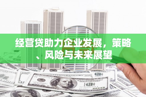 浔阳经营贷助力企业发展，策略、风险与未来展望