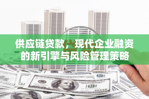 浔阳供应链贷款，现代企业融资的新引擎与风险管理策略