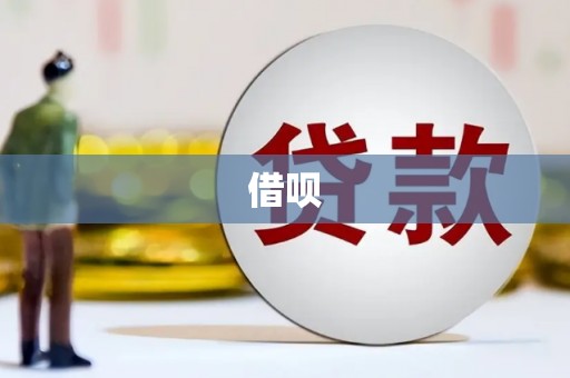 浔阳借呗