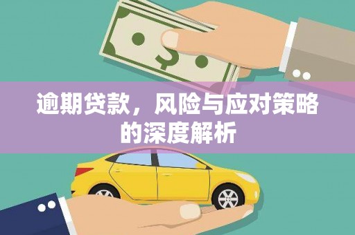 浔阳逾期贷款，风险与应对策略的深度解析