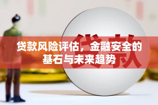 浔阳贷款风险评估，金融安全的基石与未来趋势