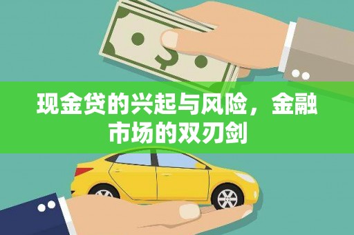 浔阳现金贷的兴起与风险，金融市场的双刃剑