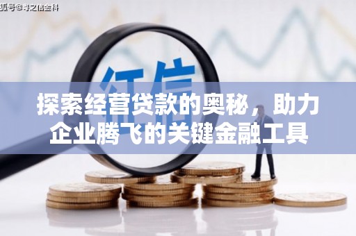 浔阳探索经营贷款的奥秘，助力企业腾飞的关键金融工具