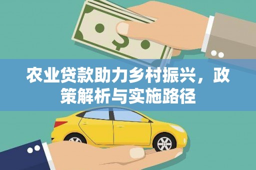 浔阳农业贷款助力乡村振兴，政策解析与实施路径