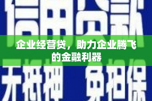 浔阳企业经营贷，助力企业腾飞的金融利器