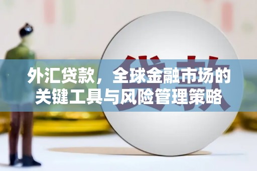 浔阳外汇贷款，全球金融市场的关键工具与风险管理策略