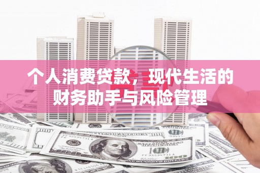浔阳个人消费贷款，现代生活的财务助手与风险管理