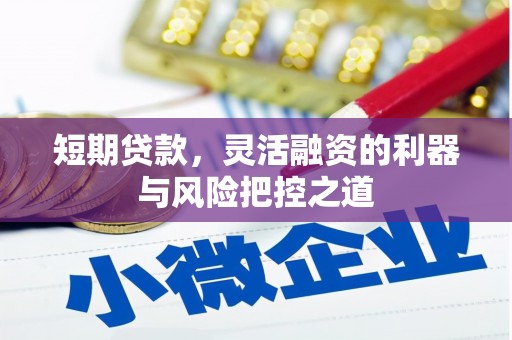 浔阳短期贷款，灵活融资的利器与风险把控之道
