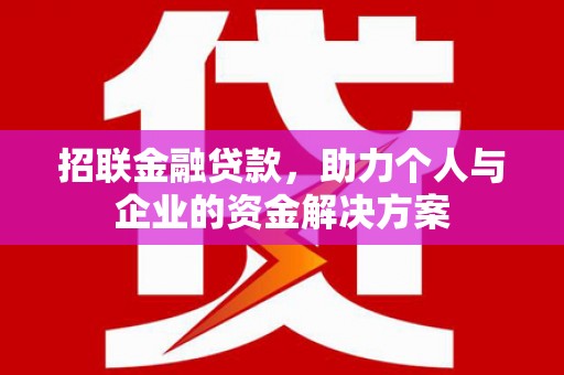 浔阳招联金融贷款，助力个人与企业的资金解决方案