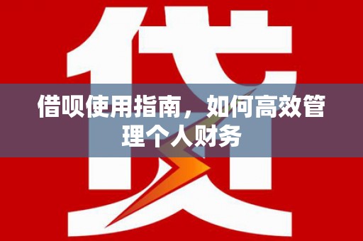 浔阳借呗使用指南，如何高效管理个人财务