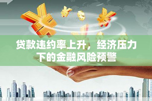 浔阳贷款违约率上升，经济压力下的金融风险预警