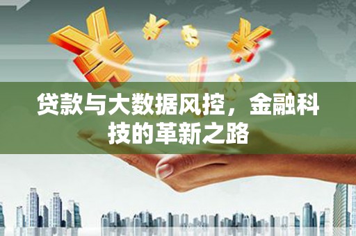 浔阳贷款与大数据风控，金融科技的革新之路