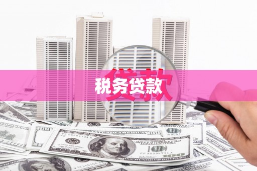 浔阳税务贷款