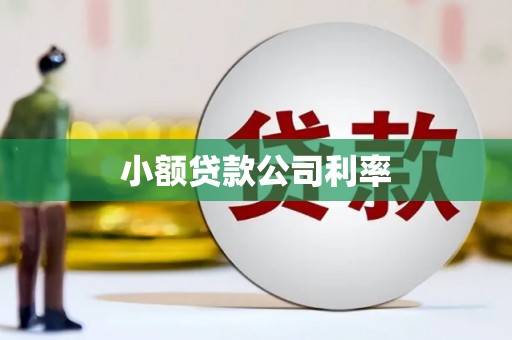 浔阳小额贷款公司利率