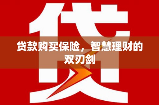 浔阳贷款购买保险，智慧理财的双刃剑