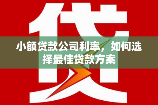浔阳小额贷款公司利率，如何选择最佳贷款方案