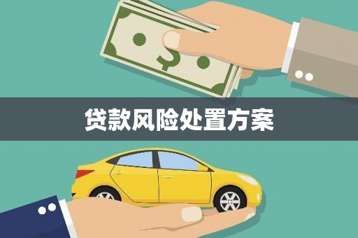浔阳贷款风险处置方案