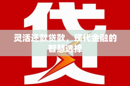 浔阳灵活还款贷款，现代金融的智慧选择