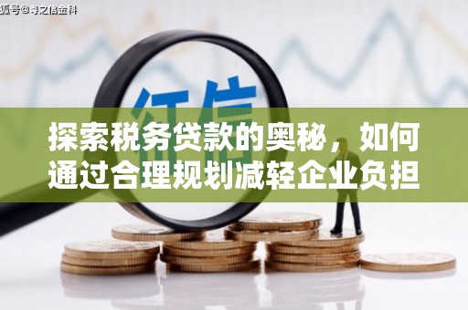 浔阳探索税务贷款的奥秘，如何通过合理规划减轻企业负担