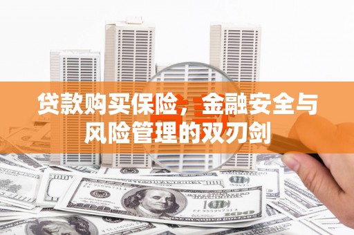 浔阳贷款购买保险，金融安全与风险管理的双刃剑