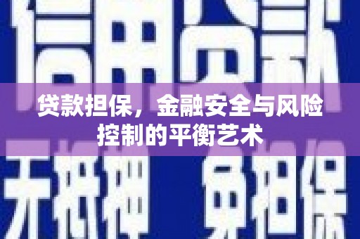 浔阳贷款担保，金融安全与风险控制的平衡艺术