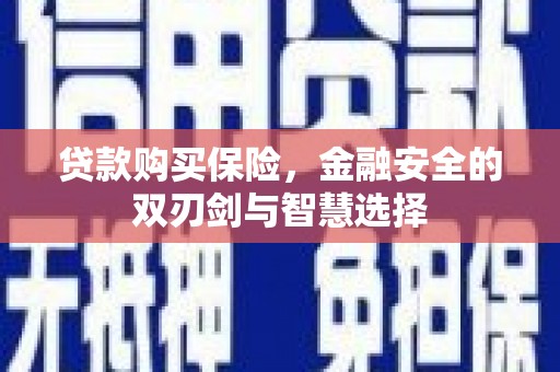 浔阳贷款购买保险，金融安全的双刃剑与智慧选择