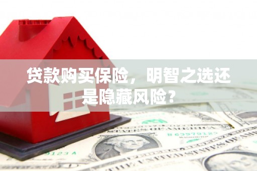 浔阳贷款购买保险，明智之选还是隐藏风险？