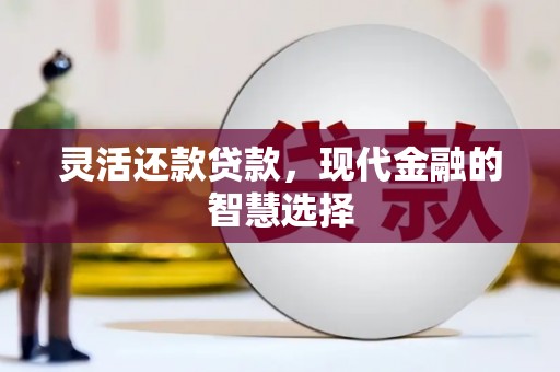 浔阳灵活还款贷款，现代金融的智慧选择