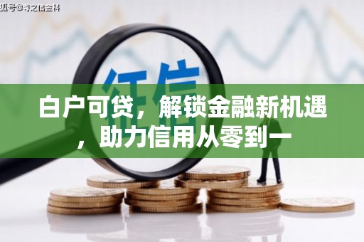 浔阳白户可贷，解锁金融新机遇，助力信用从零到一