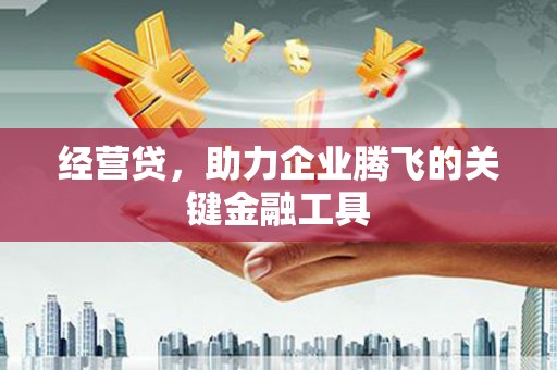 浔阳经营贷，助力企业腾飞的关键金融工具