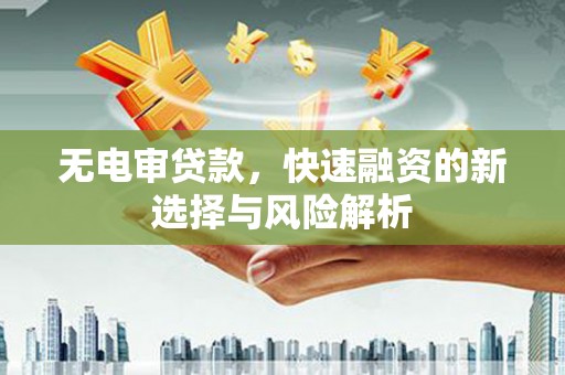 浔阳无电审贷款，快速融资的新选择与风险解析
