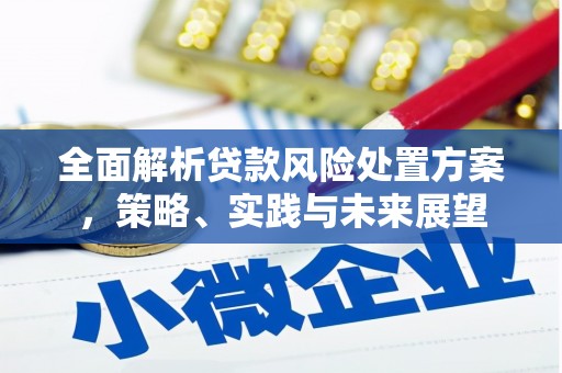 浔阳全面解析贷款风险处置方案，策略、实践与未来展望