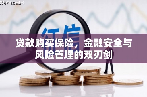 浔阳贷款购买保险，金融安全与风险管理的双刃剑