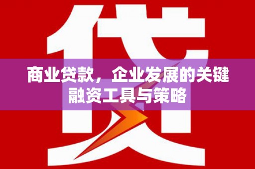 浔阳商业贷款，企业发展的关键融资工具与策略