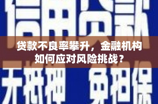 浔阳贷款不良率攀升，金融机构如何应对风险挑战？