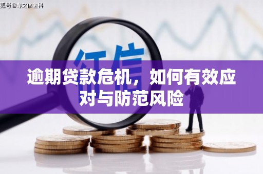 浔阳逾期贷款危机，如何有效应对与防范风险