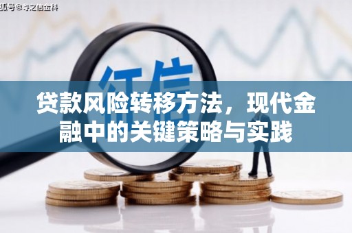 浔阳贷款风险转移方法，现代金融中的关键策略与实践