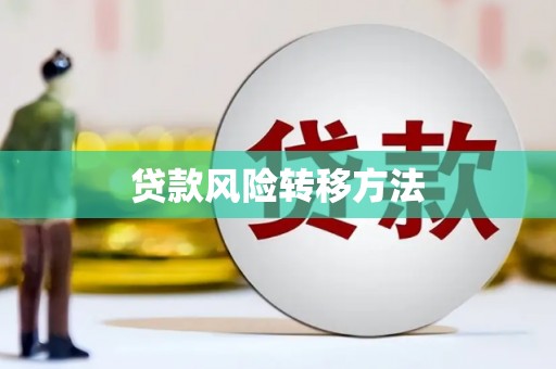 浔阳贷款风险转移方法