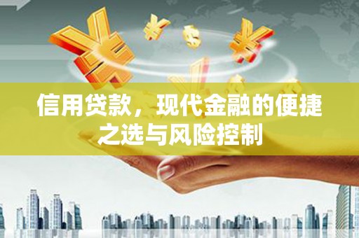 浔阳信用贷款，现代金融的便捷之选与风险控制