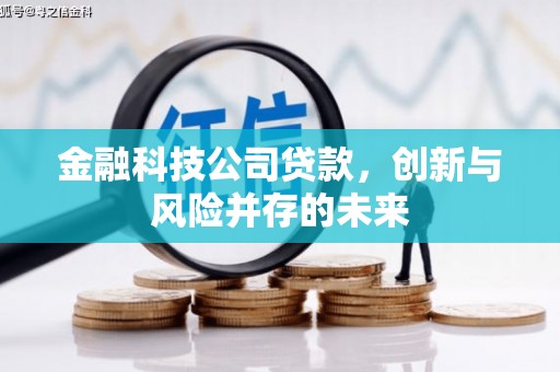 浔阳金融科技公司贷款，创新与风险并存的未来