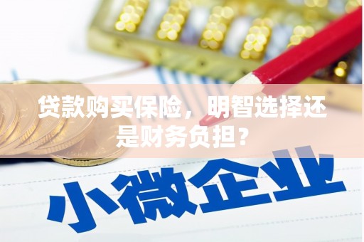 浔阳贷款购买保险，明智选择还是财务负担？